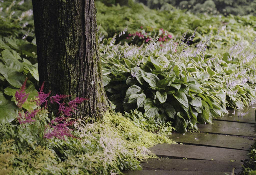 Gardens