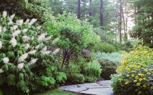Perennial Garden Path near Woodstock, NY