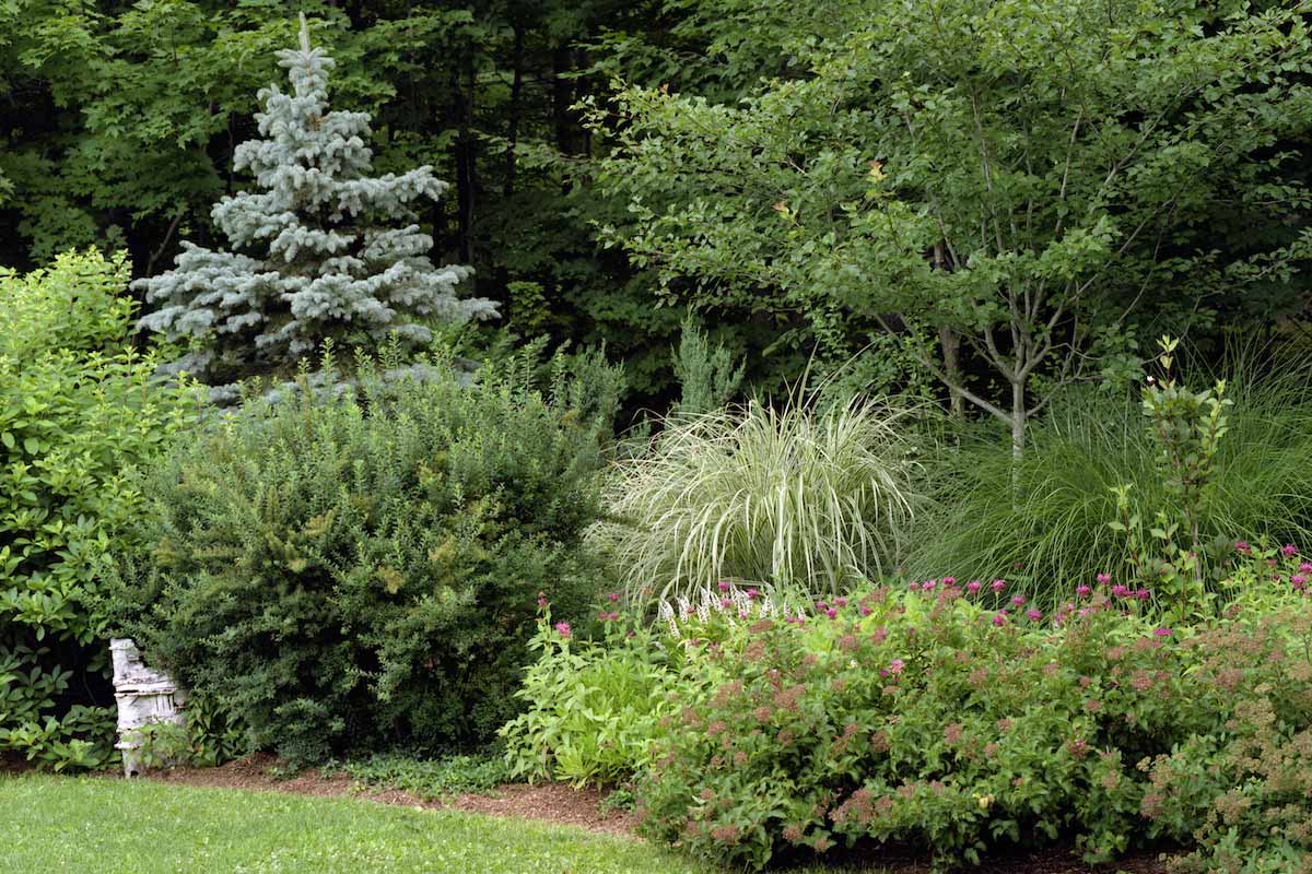 Shrub and grass planting in Woodstock, NY