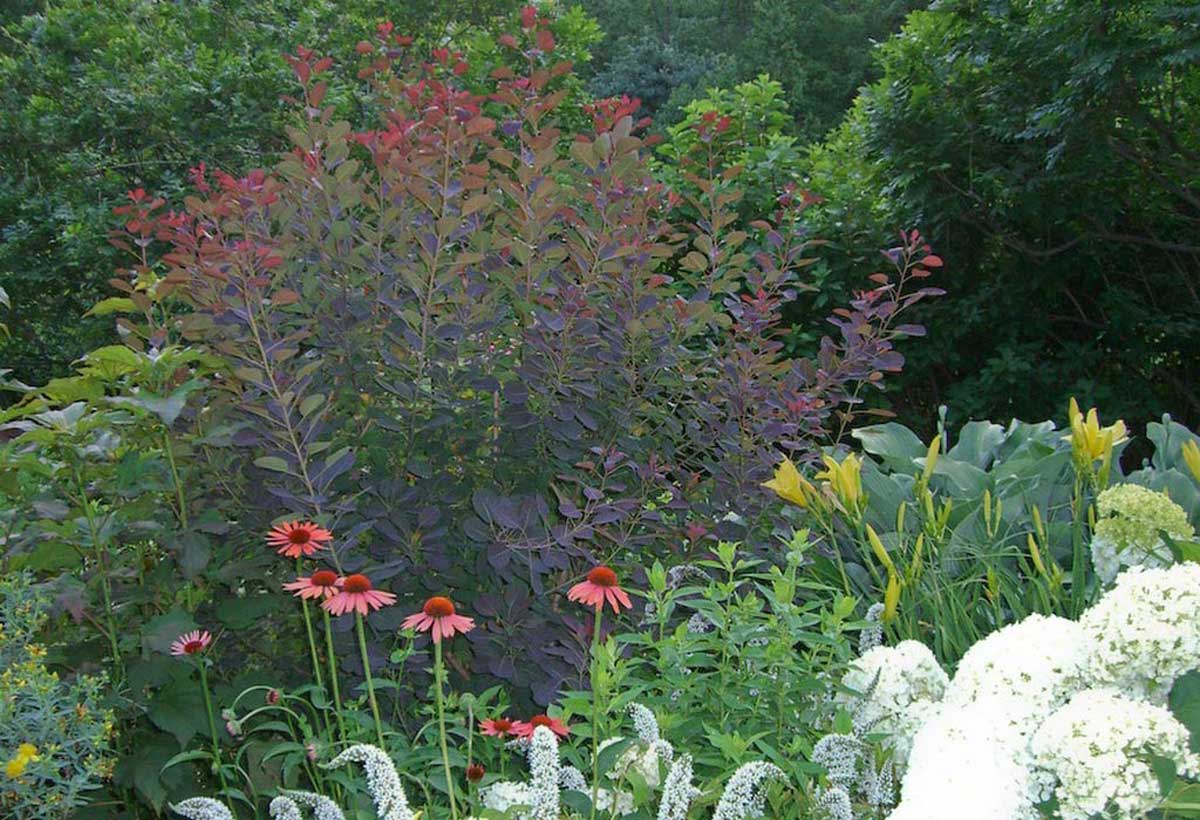 Rhinebeck, NY Summer Garden