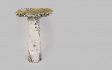 Sculpture #109