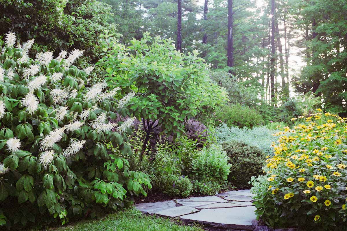 Perennial Garden Path near Woodstock, NY