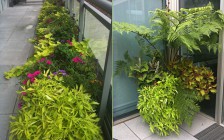 New York City Penthouse Planters