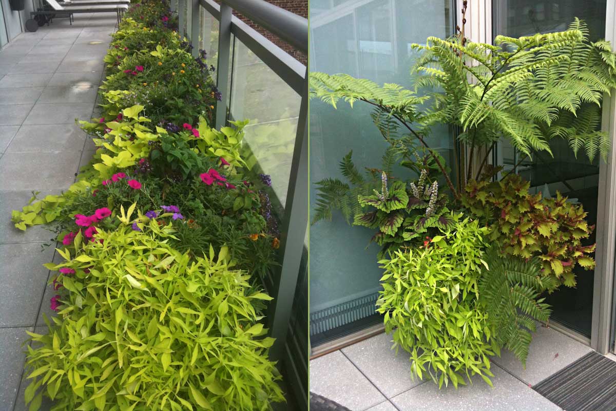 New York City Penthouse Planters