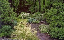 Woodland walk and garden, Ulster County NY