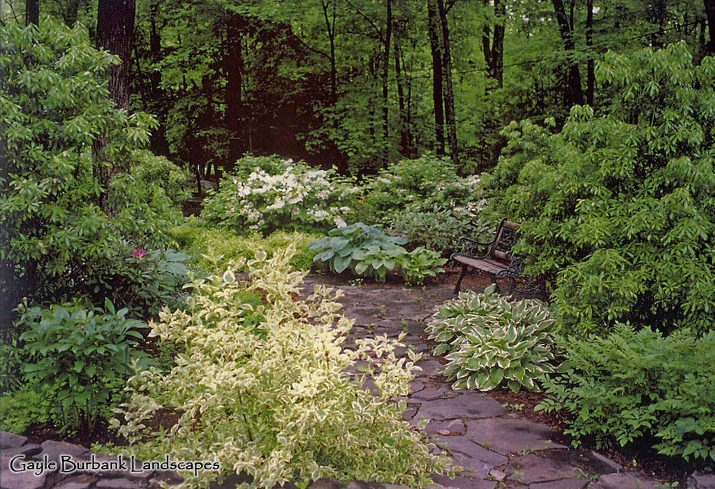 Woodland walk and garden, Ulster County NY