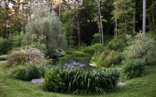 Large Coy Pond Landscape in Woodstock, NY