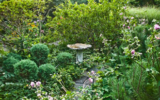 Sculpture in the Garden 5