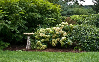 Sculpture in the Garden 7