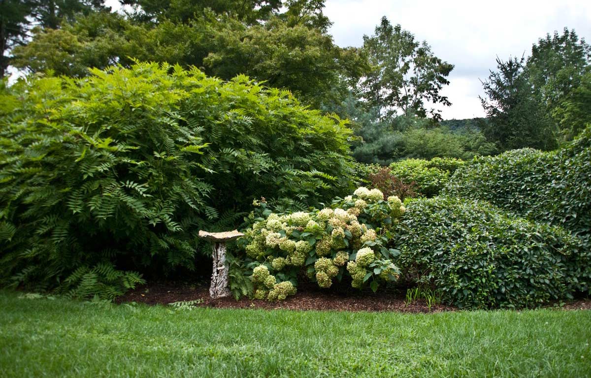 Sculpture in the Garden 7