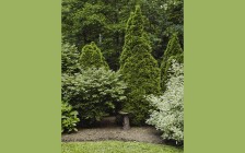 Dutchess County, NY Garden Ornament