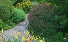 Westchester, NY Garden Meditation