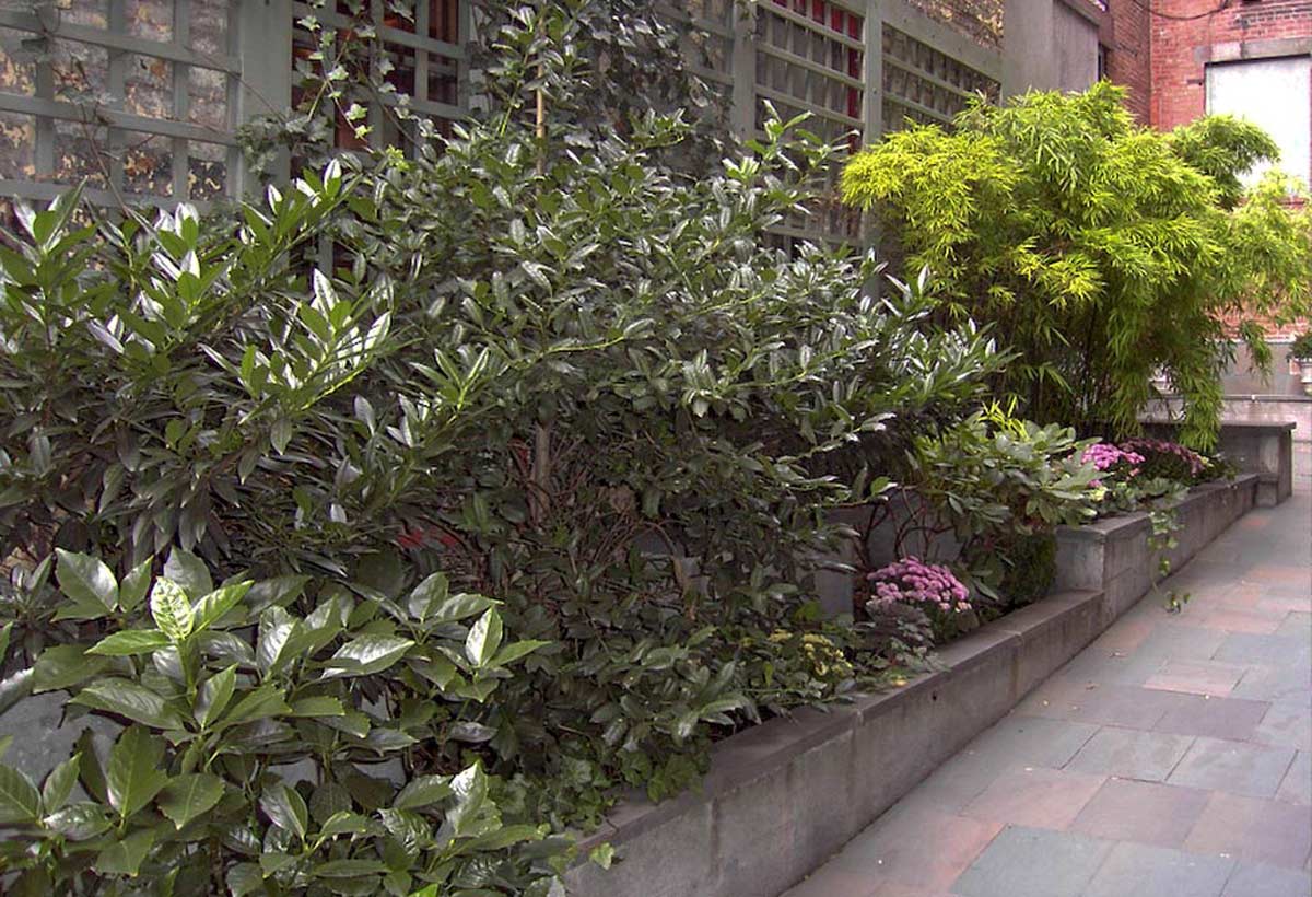 New York City Urban Garden Design
