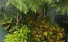 Penthouse Potted Plants